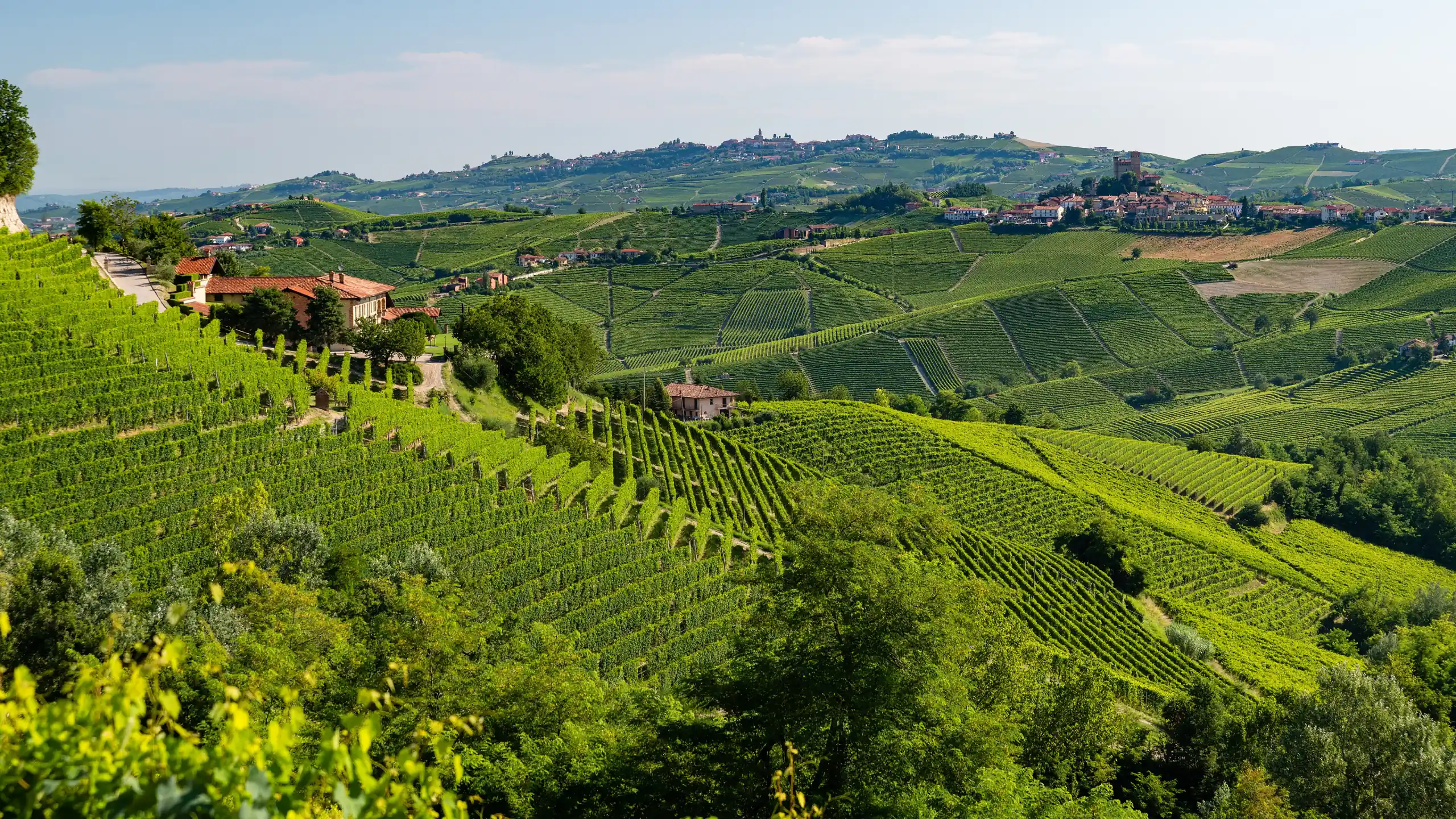 Langhe cascine among the vineyards between Monforte d'Alba and Serralunga d'Alba