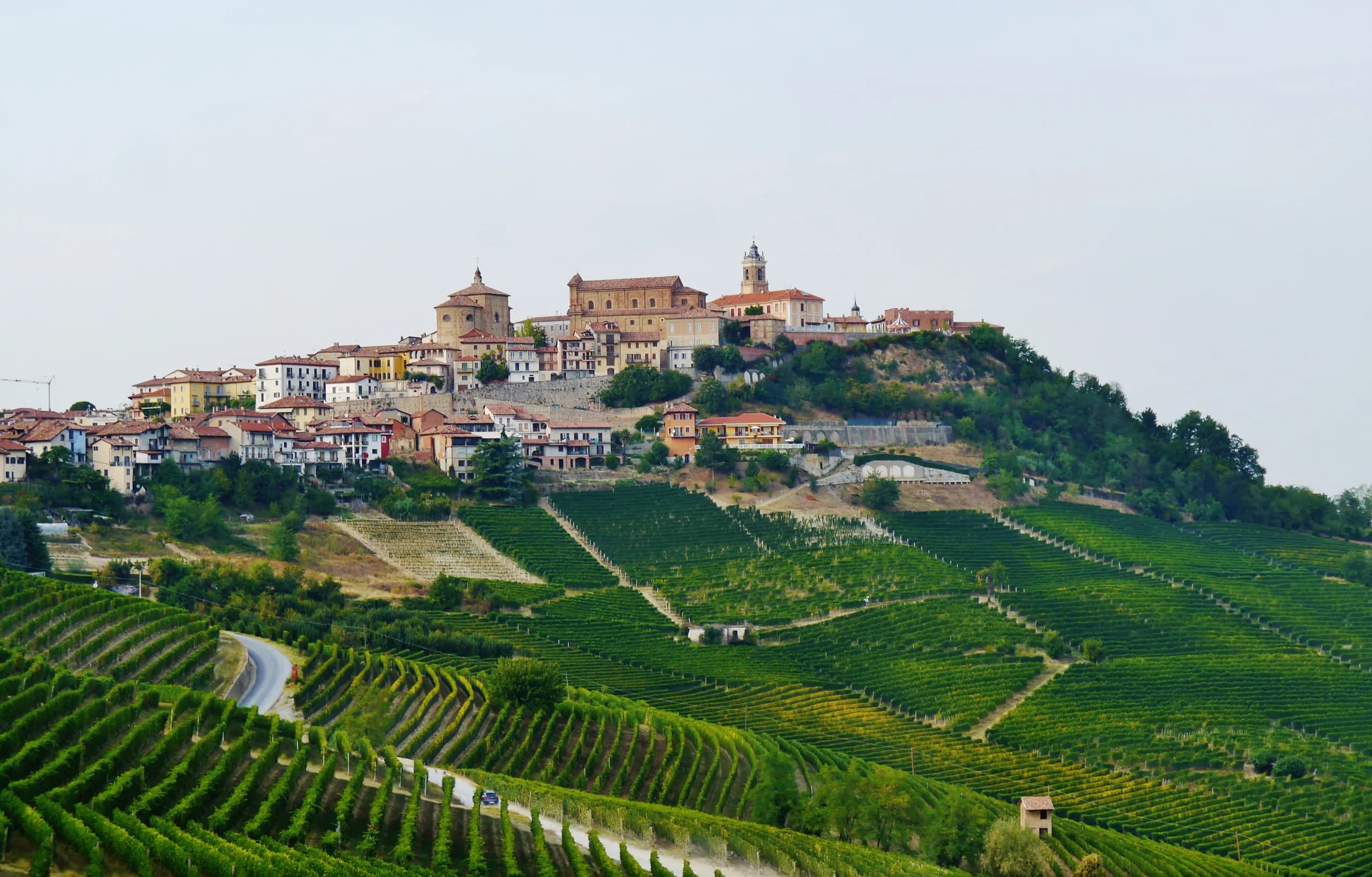La Morra crowning its hill above the Barolo vineyards