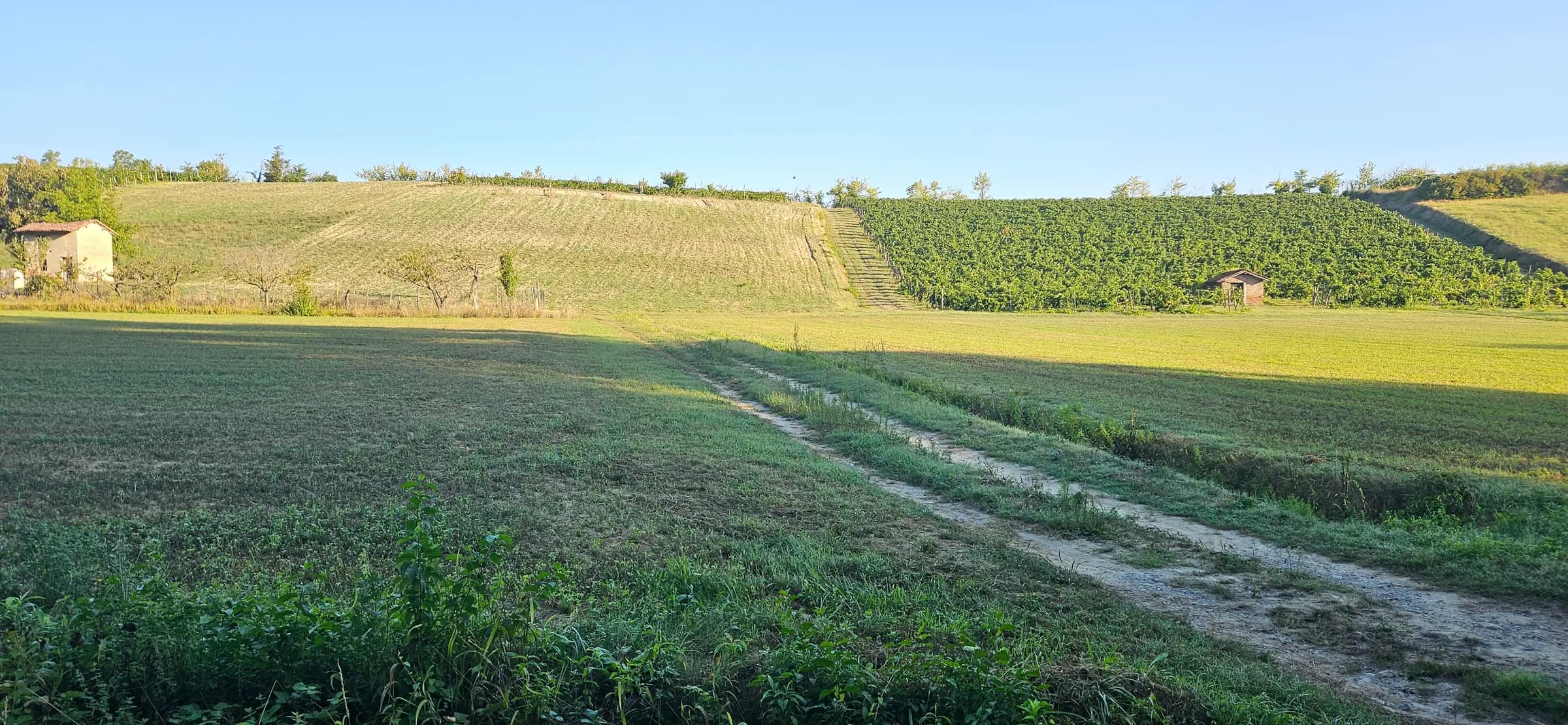 A farm track across open fields towards vineyards and a small farmhouse, Monferrato
