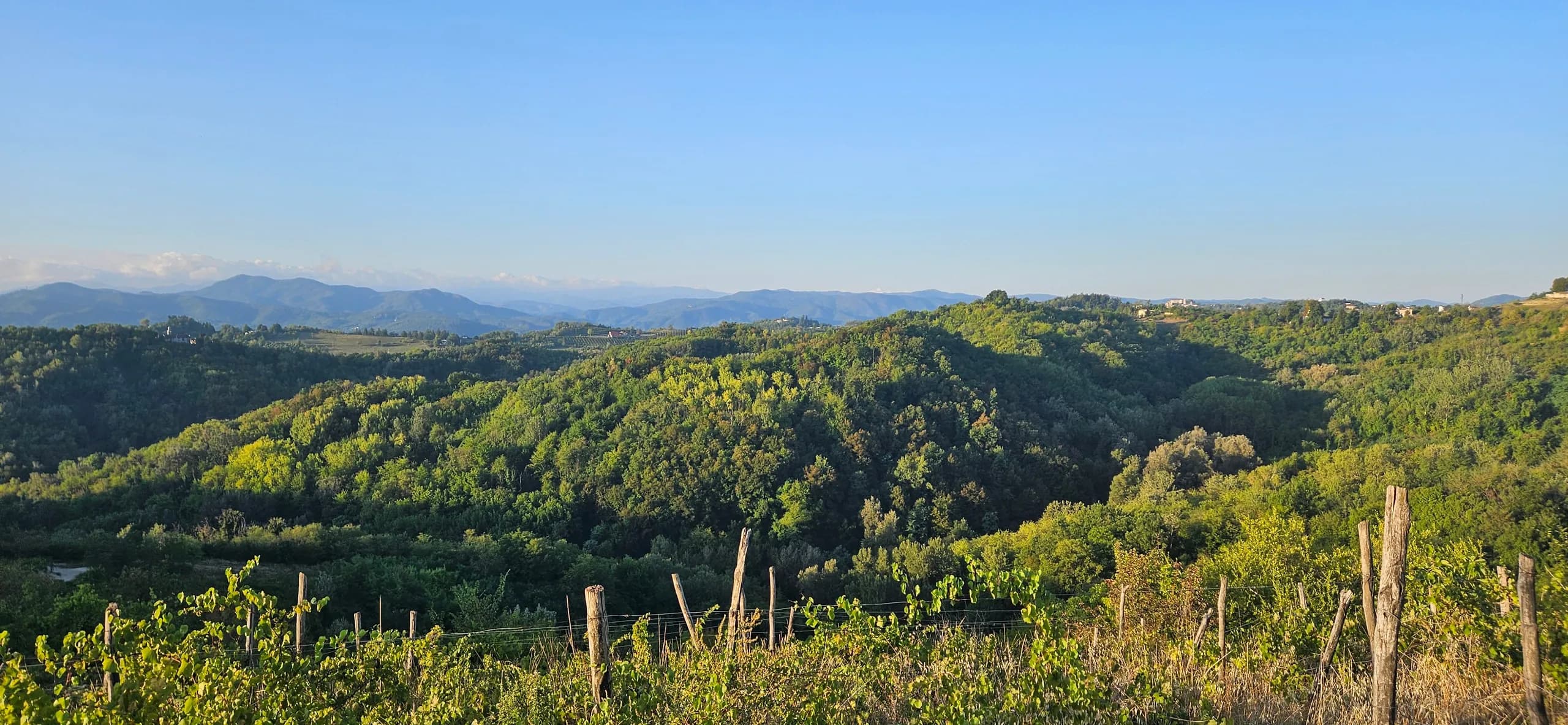 Wooded Monferrato hills near Rocca Grimalda, with vine posts in the foreground and mountains on the horizon