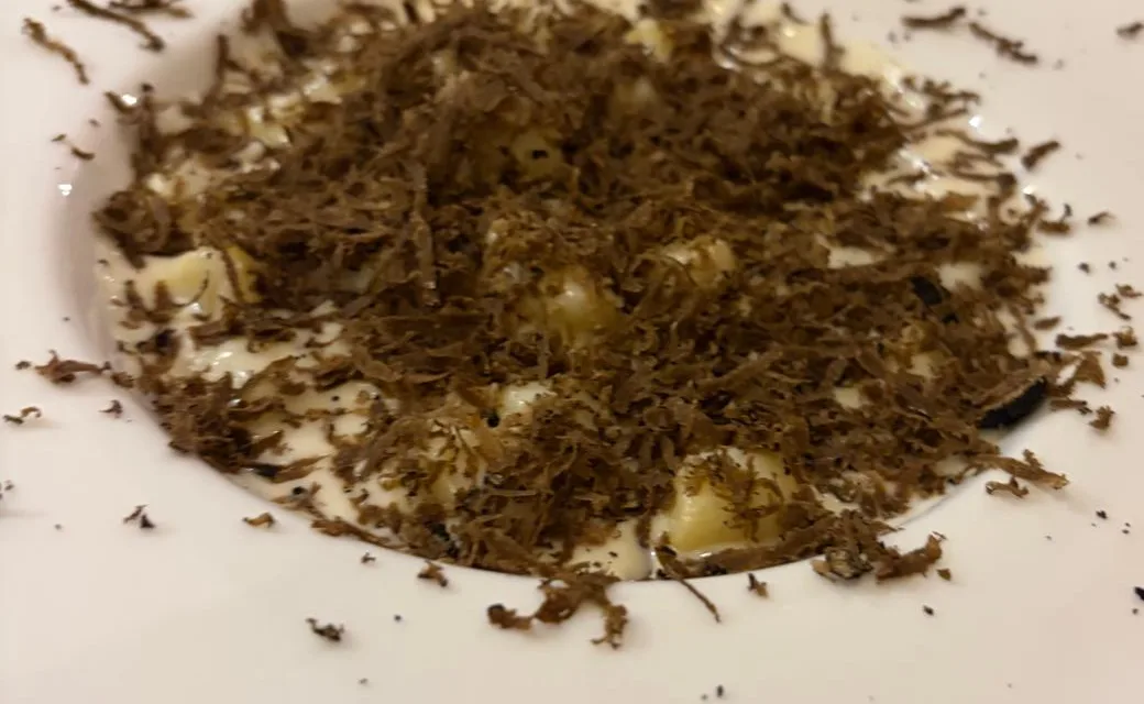 A plate of pasta under a generous shaving of truffle