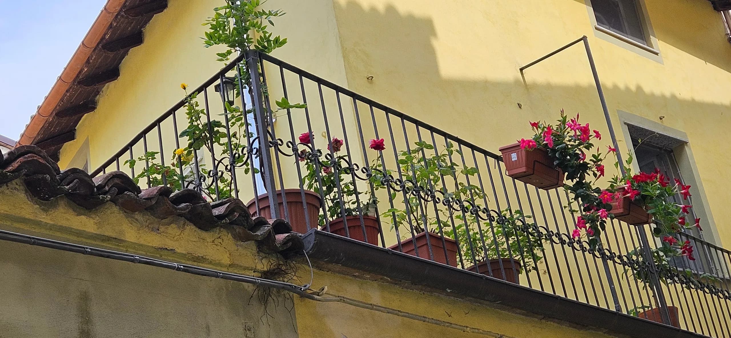 A yellow village house with a wrought-iron balcony full of flowers, Langhe & Monferrato